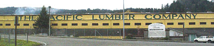 photo of Pacific Lumber co. mill