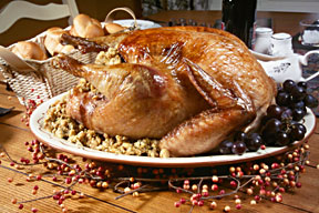 photo of roast turkey